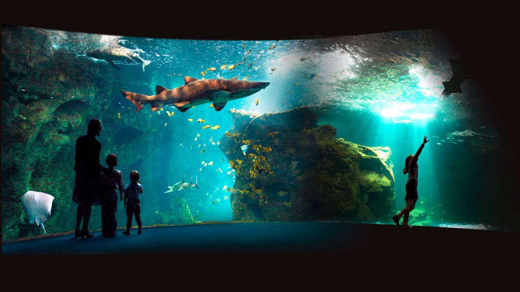 Aquarium La Rochelle 01