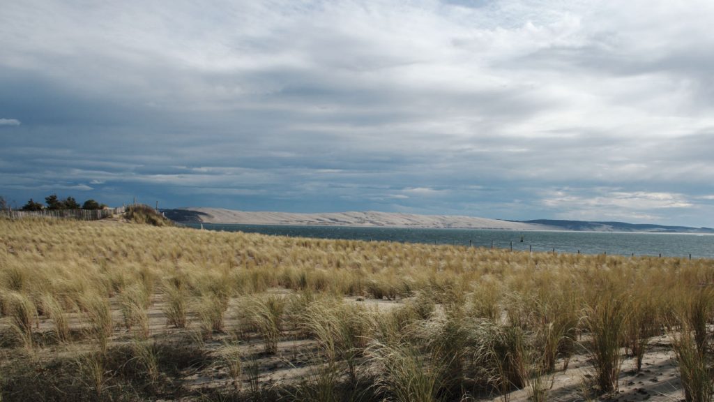 Cap Ferret 05
