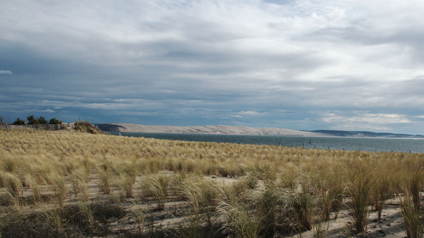 Cap Ferret