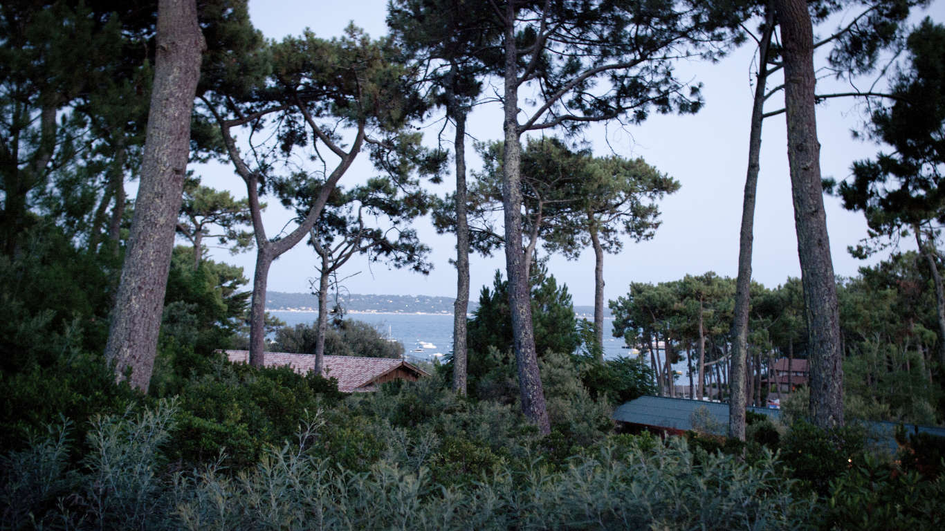 Cap Ferret