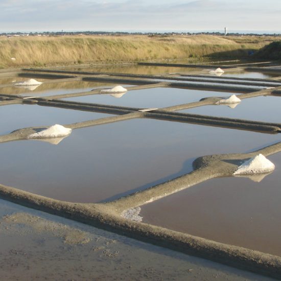 Ecomusée du Marais Salant in Loix en Ré