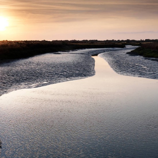 Lilleau des Niges nature reserve
