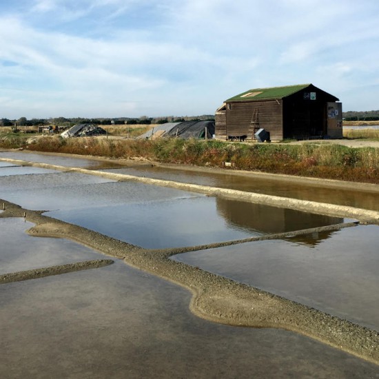 The salt marshes in Les Sables d’Olonne